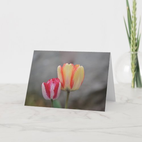 Tulip Time Note Card