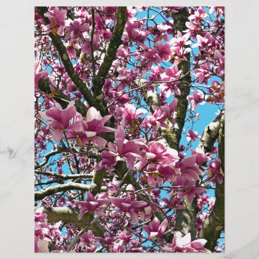 Tulip Tree (Front)
