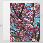 Tulip Tree (Front/Back)