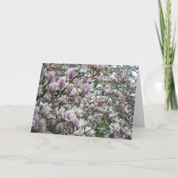 Tulip Tree Blooms Card by ebroskie1234 at Zazzle