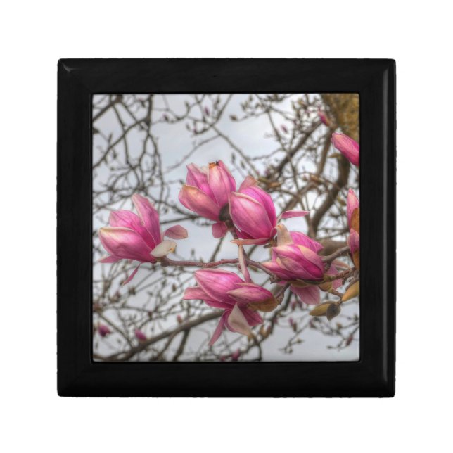 Tulip Tree Blossoms Gift Box (Front)