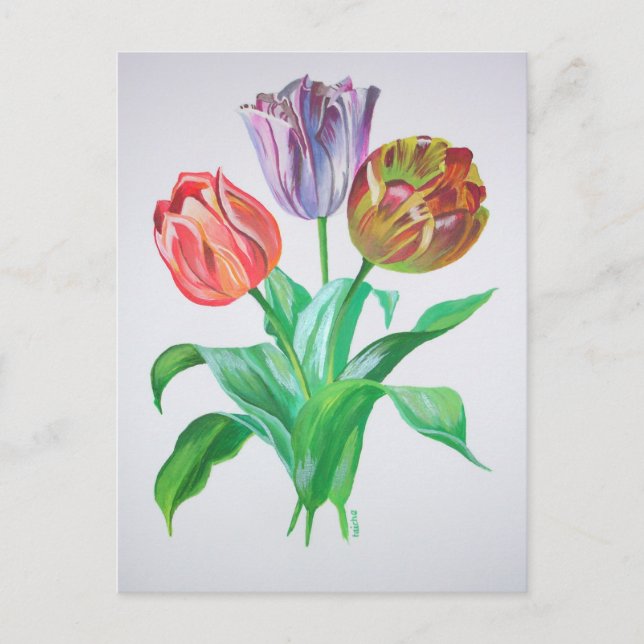 Tulip Trio Colorful Artistic Flowers Postcard (Front)