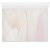 Tulip Tulip (Inside Horizontal (Bottom))