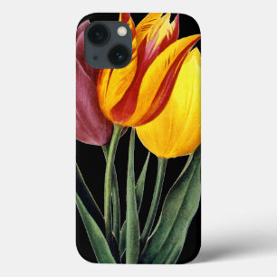 Tulip (Tulipa Gesneriana) iPhone 13 Case