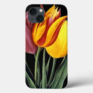 Tulip (Tulipa Gesneriana) iPhone 13 Case