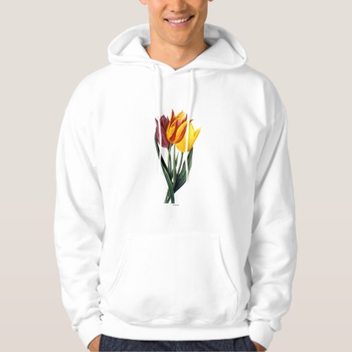 Tulip Tulipa Gesneriana Hoodie