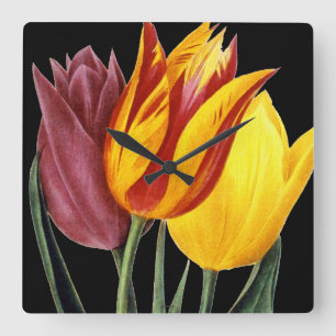 Tulip (Tulipa Gesneriana) Square Wall Clock
