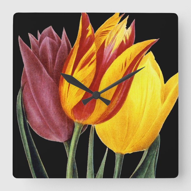 Tulip (Tulipa Gesneriana) Square Wall Clock (Front)