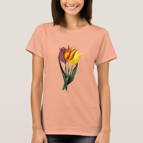 Tulip Tulipa Gesneriana T_Shirt