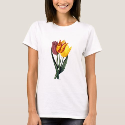 Tulip Tulipa Gesneriana T_Shirt