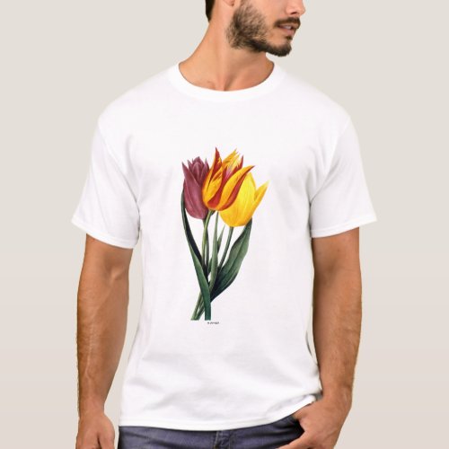 Tulip Tulipa Gesneriana T_Shirt