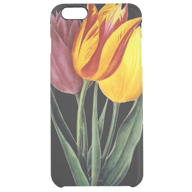 Tulip (Tulipa Gesneriana) Uncommon iPhone Case (Back)
