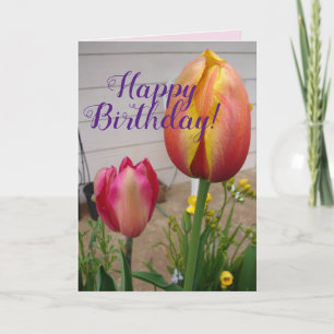 Tulip Tulips Red Pink Flower Floral Birthday Card