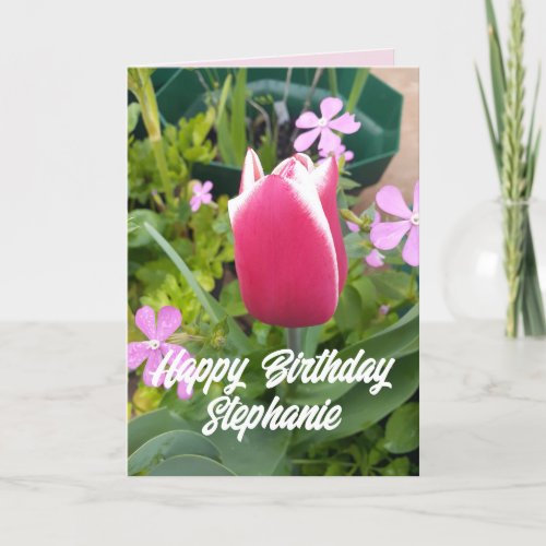 Tulip Tulips Red Pink Flower Floral Birthday Card