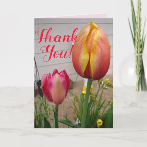 Tulip Tulips Red Pink Flower Floral Thank You Card