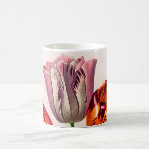 Tulip vintage illustrated coffee mug