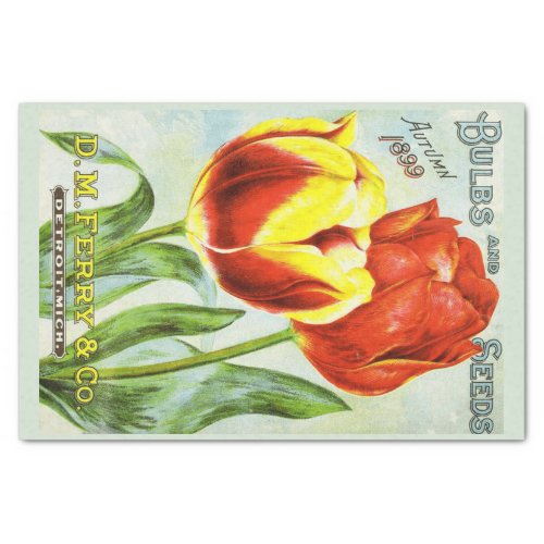 Tulip Vintage Seeds Bulbs Decoupage Tissue Paper