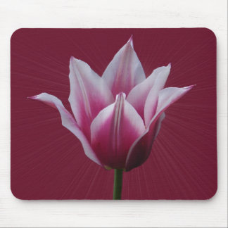 Tulip w/sunburst ~ mousepad