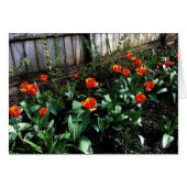 Tulip Watercolor (Front Horizontal)