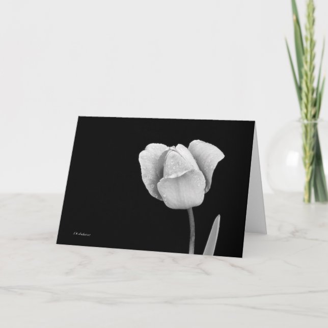 Tulip with raindrops in black & white card (Front)