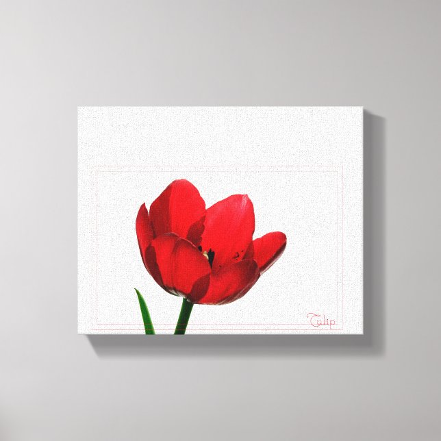 Tulip Wrapped Canvas Print (Front)