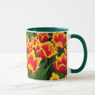 Tulipa Fabio, Keukenhof, Netherlands Mug