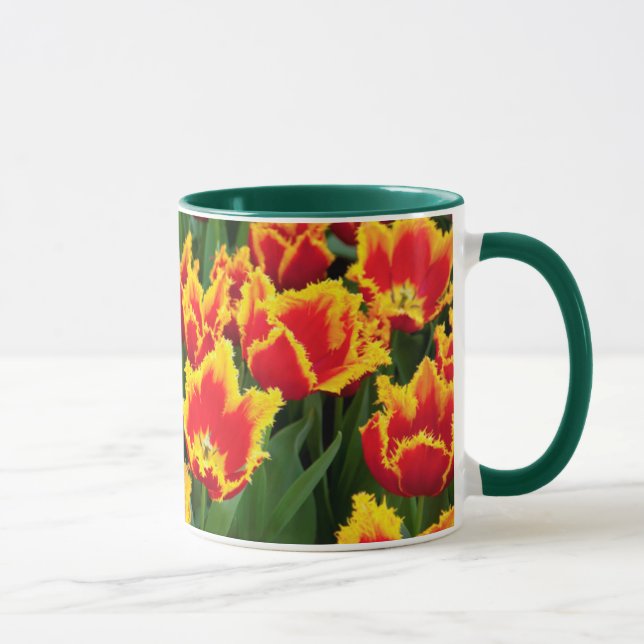 Tulipa Fabio, Keukenhof, Netherlands Mug (Right)