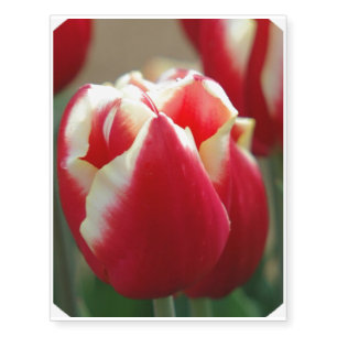 tulips-18.JPG Temporary Tattoos