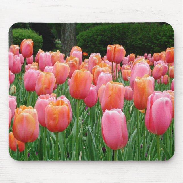 Tulips #1 mouse pad (Front)