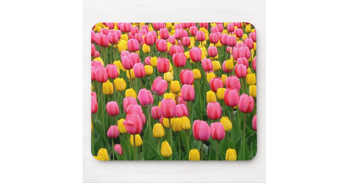 Tulips 1 Mouse Pad | Zazzle