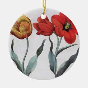 Tulips: 1.Tulipa globosa serotina cinnabrio colore Ceramic Ornament