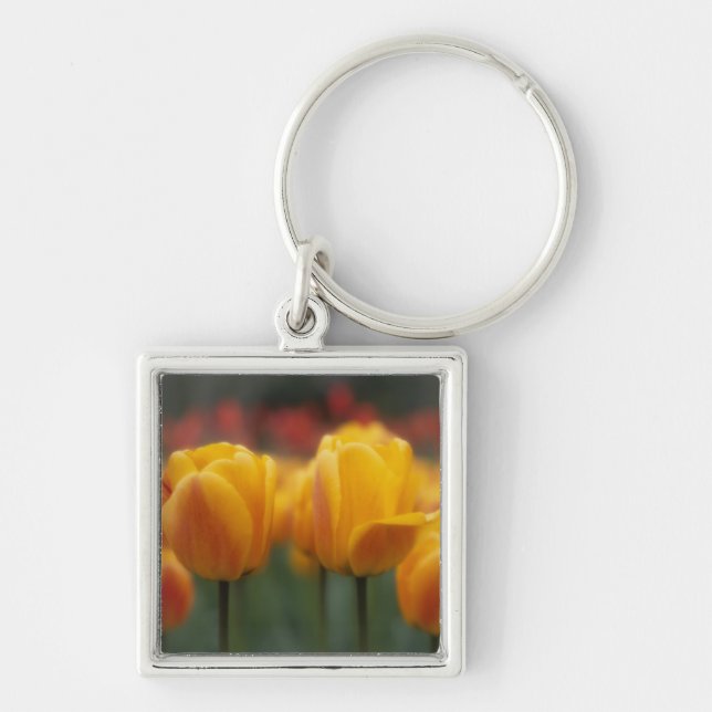 Tulips 2 keychain (Front)