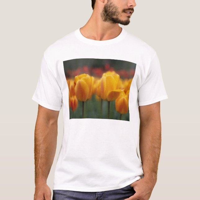 Tulips 2 T-Shirt (Front)