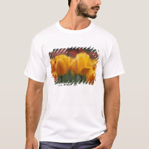 Tulips 2 T-Shirt