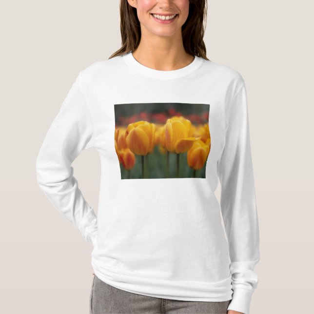 Tulips 2 T-Shirt (Front)