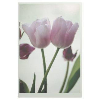 Tulips 3259 gallery wrap