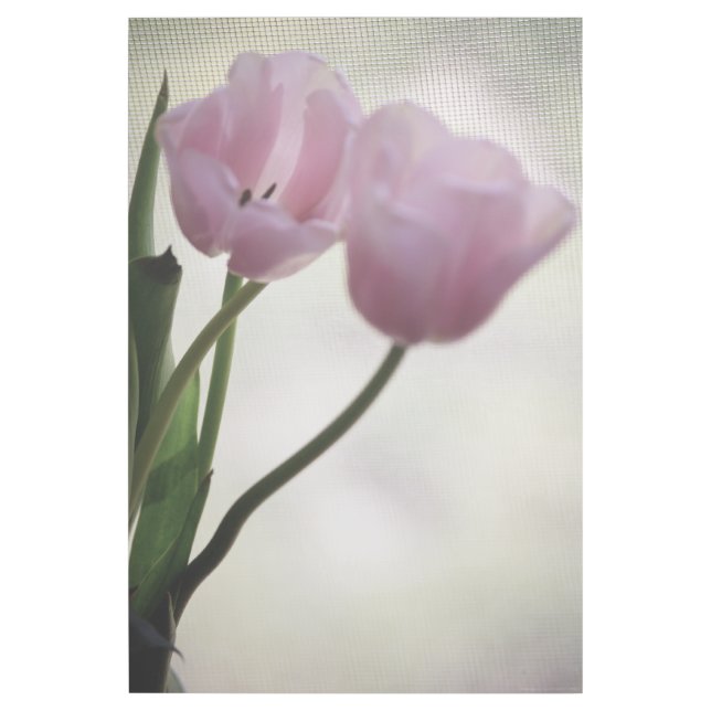 Tulips 3265 gallery wrap (Front)