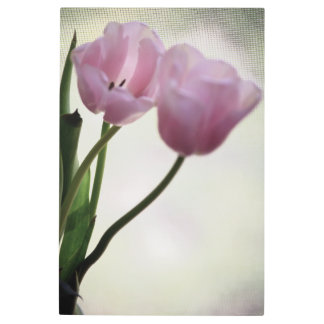 Tulips 3265 metal print