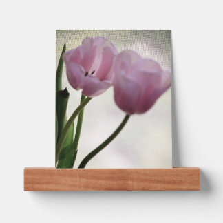 Tulips 3265 picture ledge