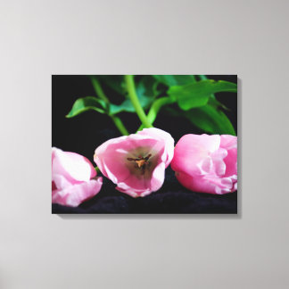 Tulips 3273 canvas print