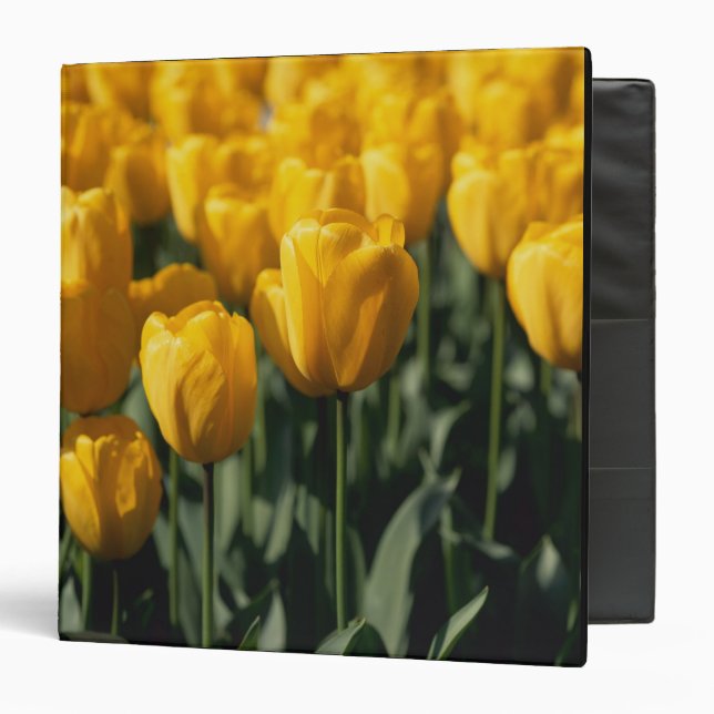 Tulips 3 ring binder (Front/Inside)