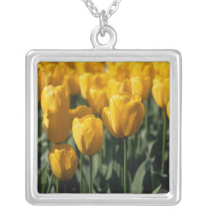 Tulips 3 silver plated necklace