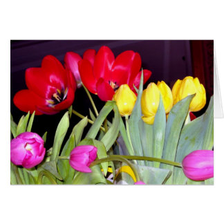 Tulips 3color cards