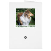 TULIPS (& A COLLIE) (Back)