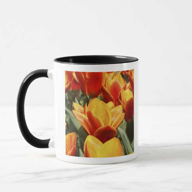 Tulips abound in Keukenhof Gardens, Holland. Mug (Left)