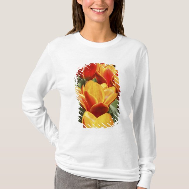 Tulips abound in Keukenhof Gardens, Holland. T-Shirt (Front)