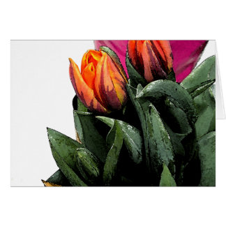 Tulips Again Cards