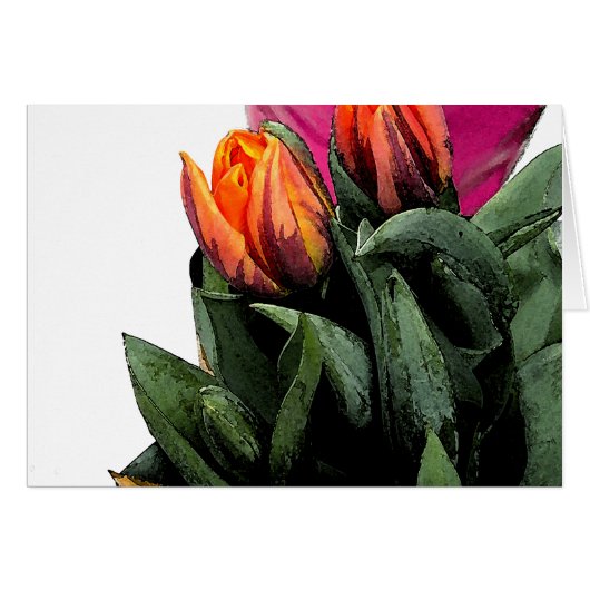 Tulips Again Cards (Front Horizontal)