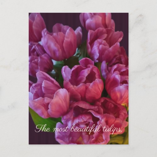 Tulips and customtext Mothers day Postcard