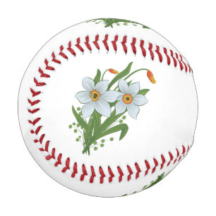 Tulips and Daffodils Flowers Baseball